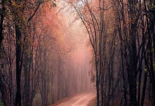 OB视讯官网：NBA常规赛：勇士不敌热火.