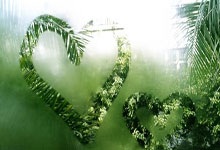 [NBA]解说名场面：新老更替——全明星回忆篇.